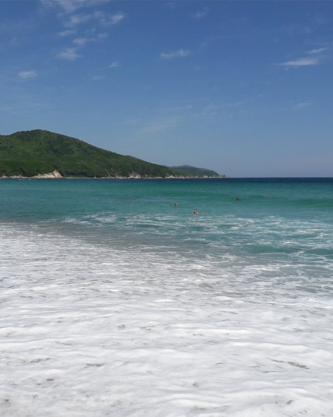 dol_vlc_26_0004_Layer 11